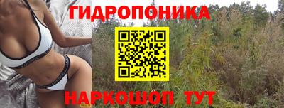 МДПВ Славянск-на-Кубани